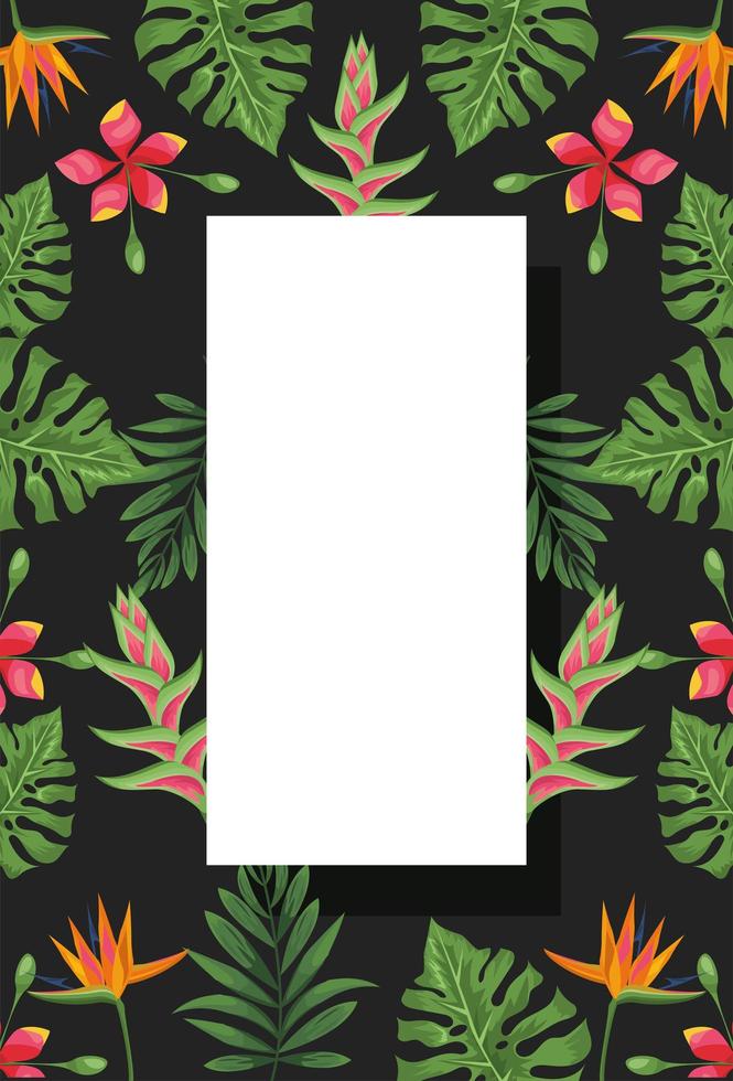 exotic plants rectangle frame 5406975 Vector Art at Vecteezy