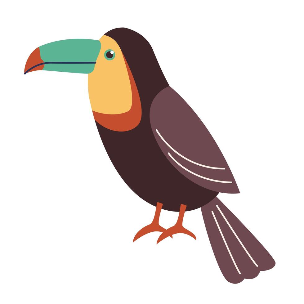 tucán pájaro exótico vector