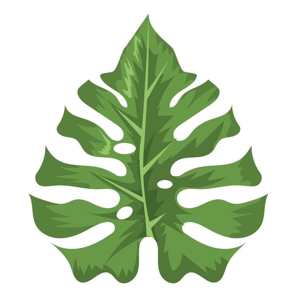tropical and exotic leaf vector