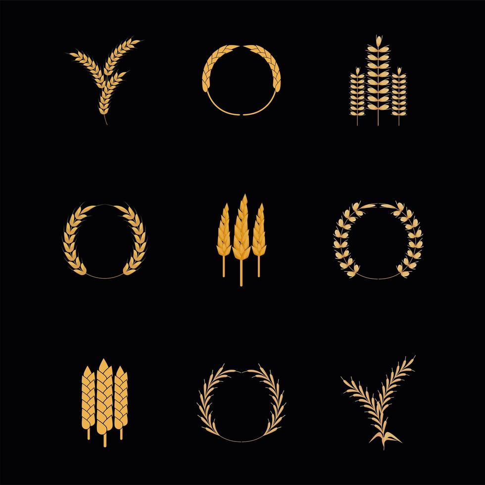 nine wheat spikes icons vector