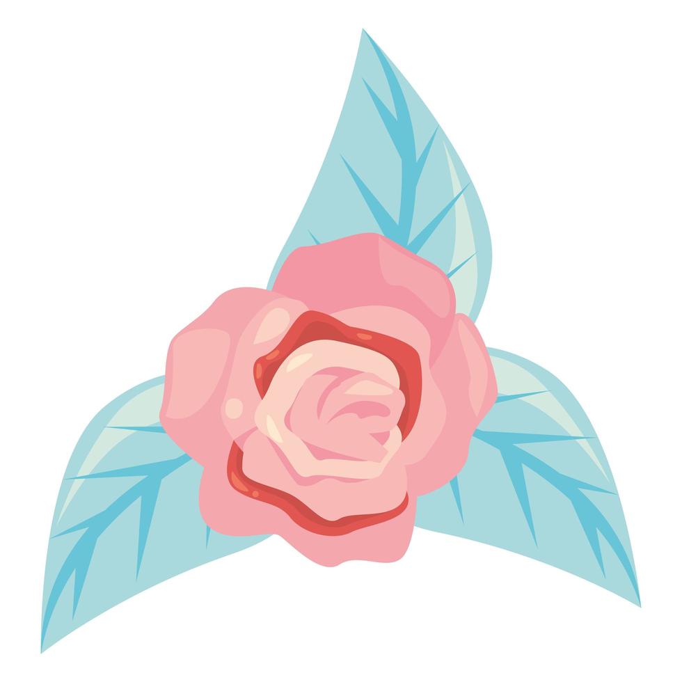 rose pink with leafs vector