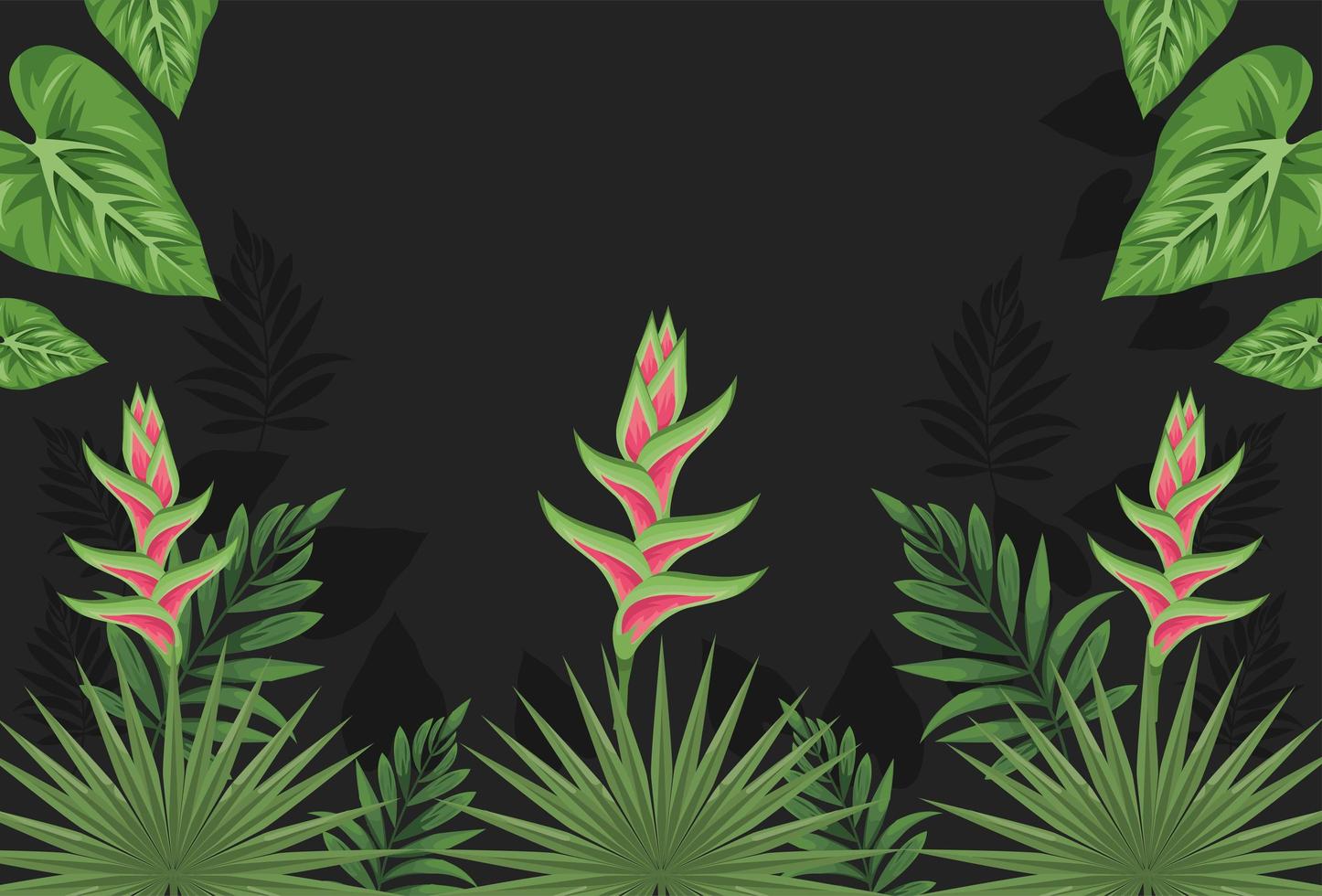 exotic tropical plants frame vector