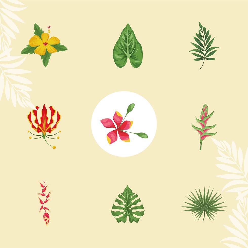 nine exotic tropical plants vector