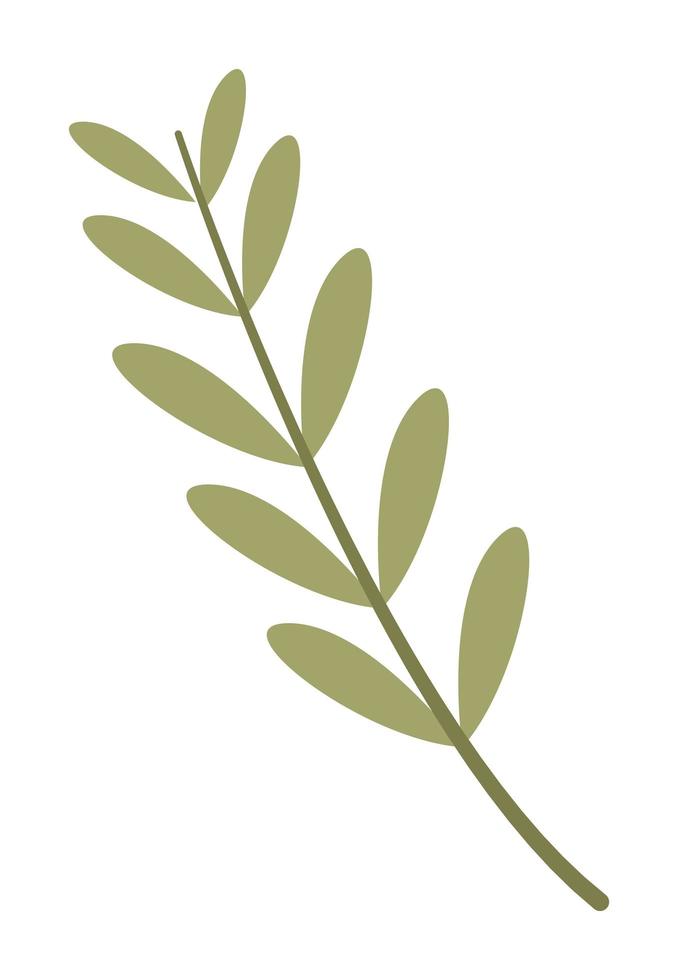 branch with leafs vector