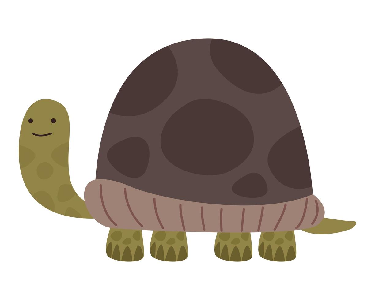 lindo animal tortuga vector