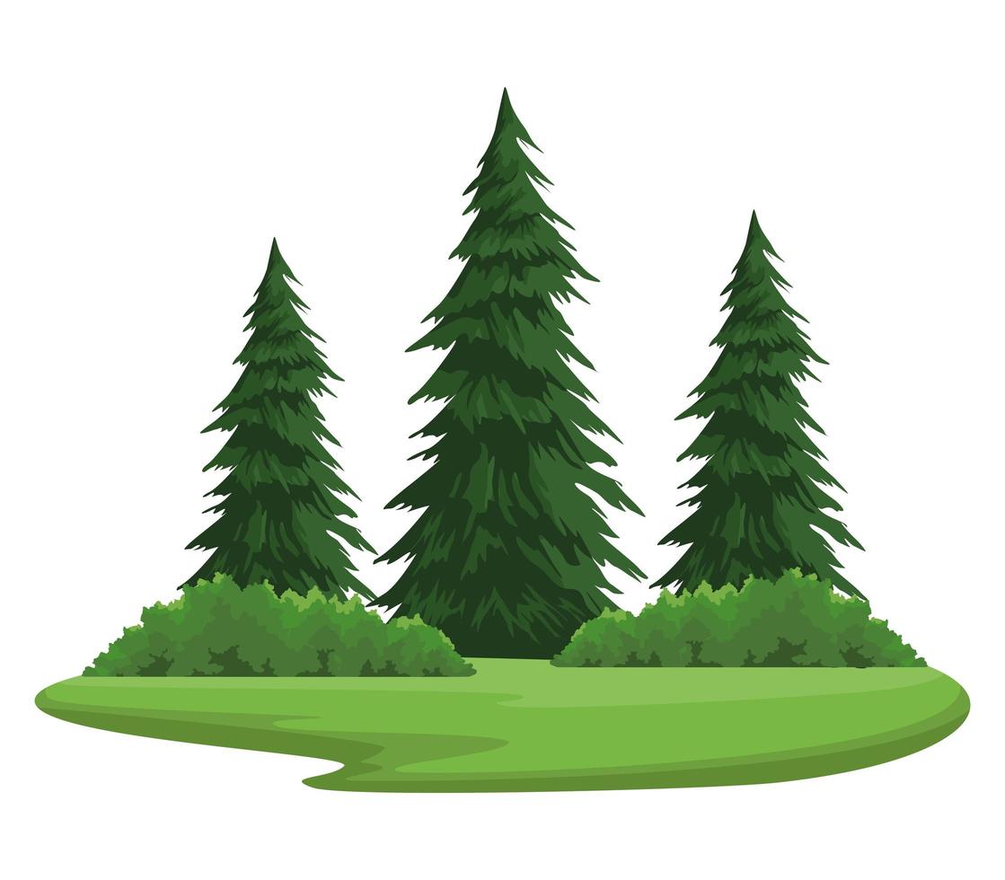 pines trees wanderlust scene vector