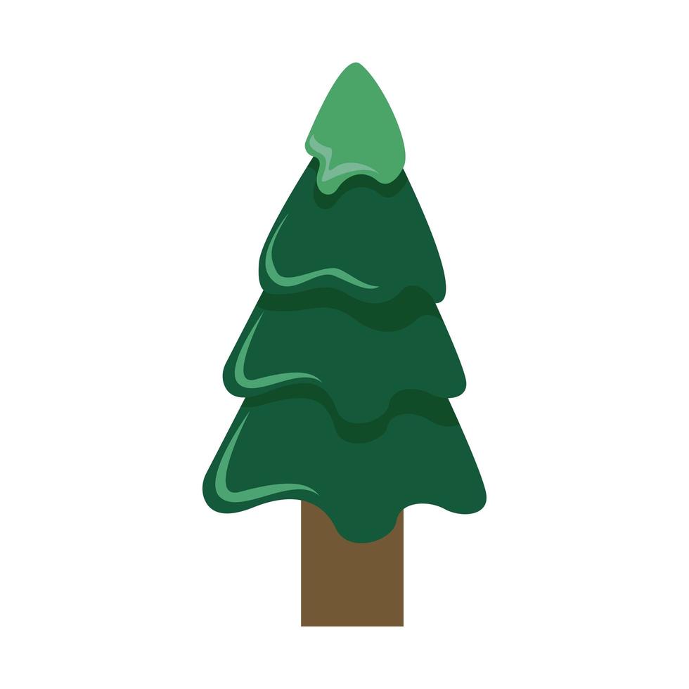 green pine tree vector