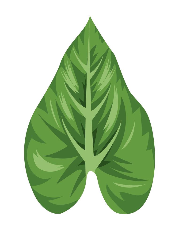 exotic leaf plant vector