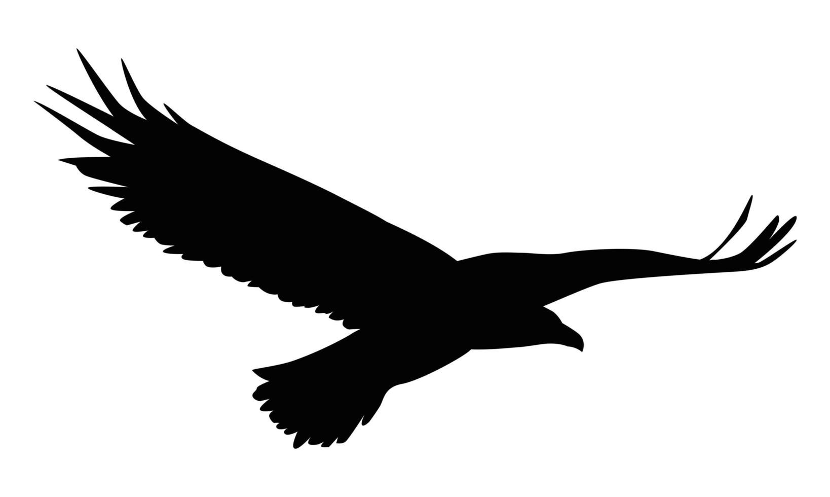 eagle flying silhouette vector