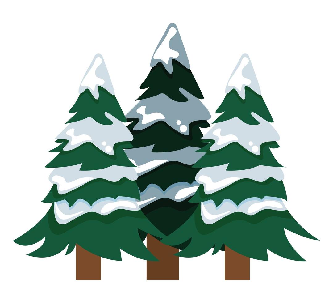 pines trees with snow vector