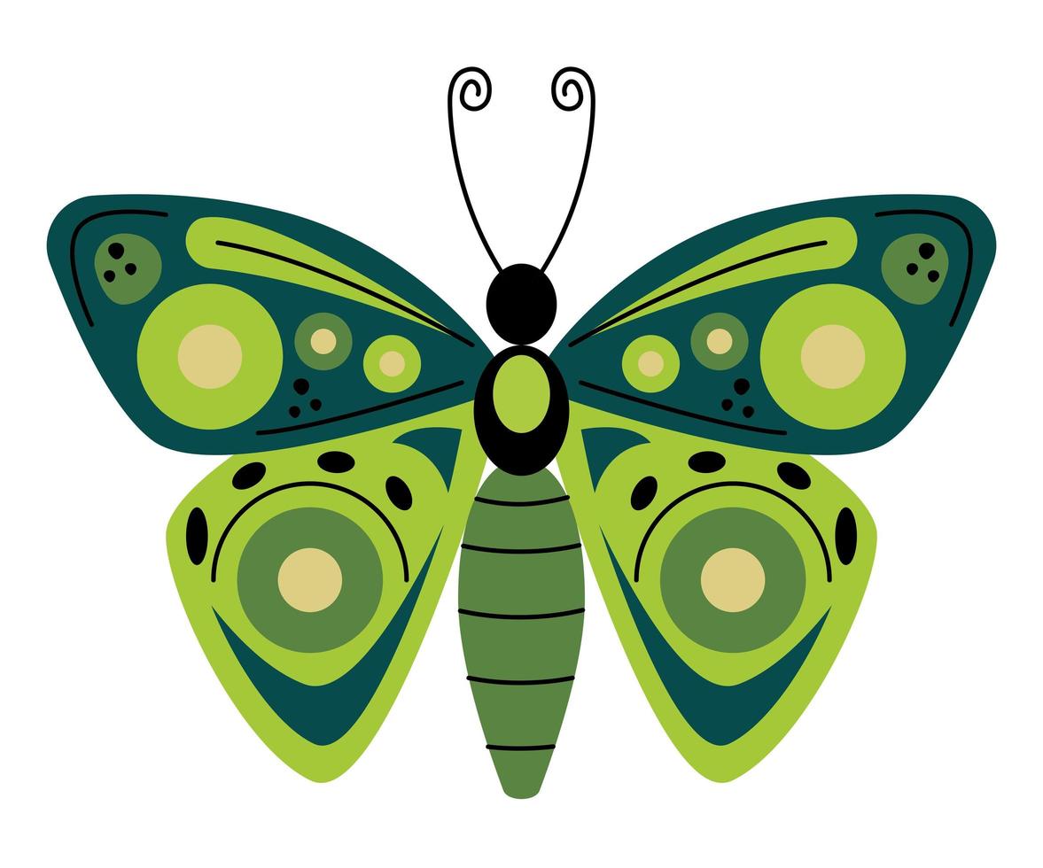 cute green butterfly vector
