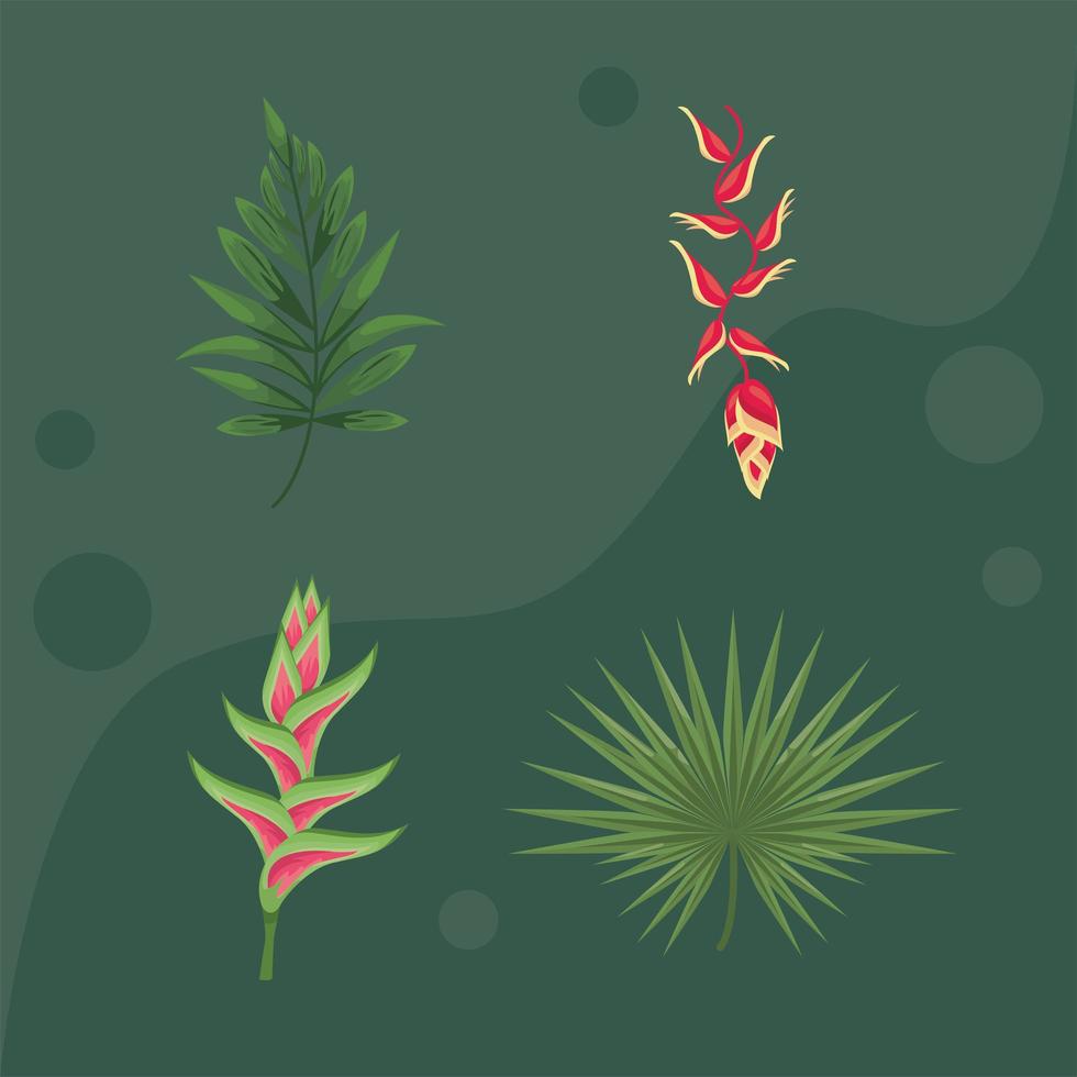 exotic tropical four plants vector