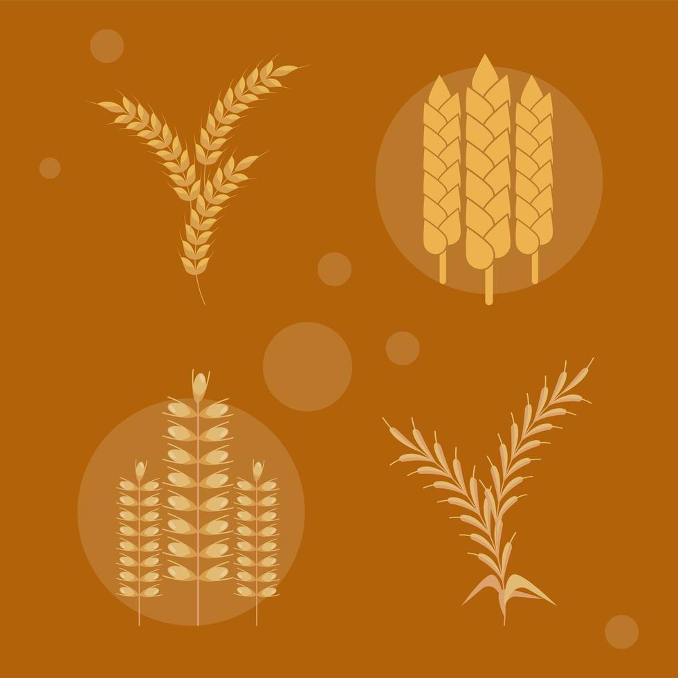 wheat spikes four icons vector