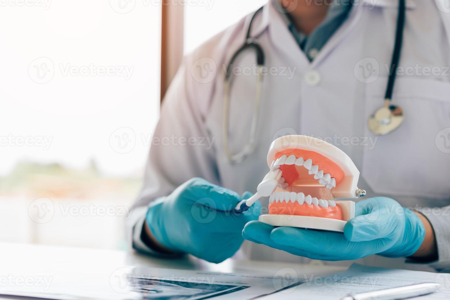 Asian man dentist is holding dentures jaw showing how to brush the teeth. photo