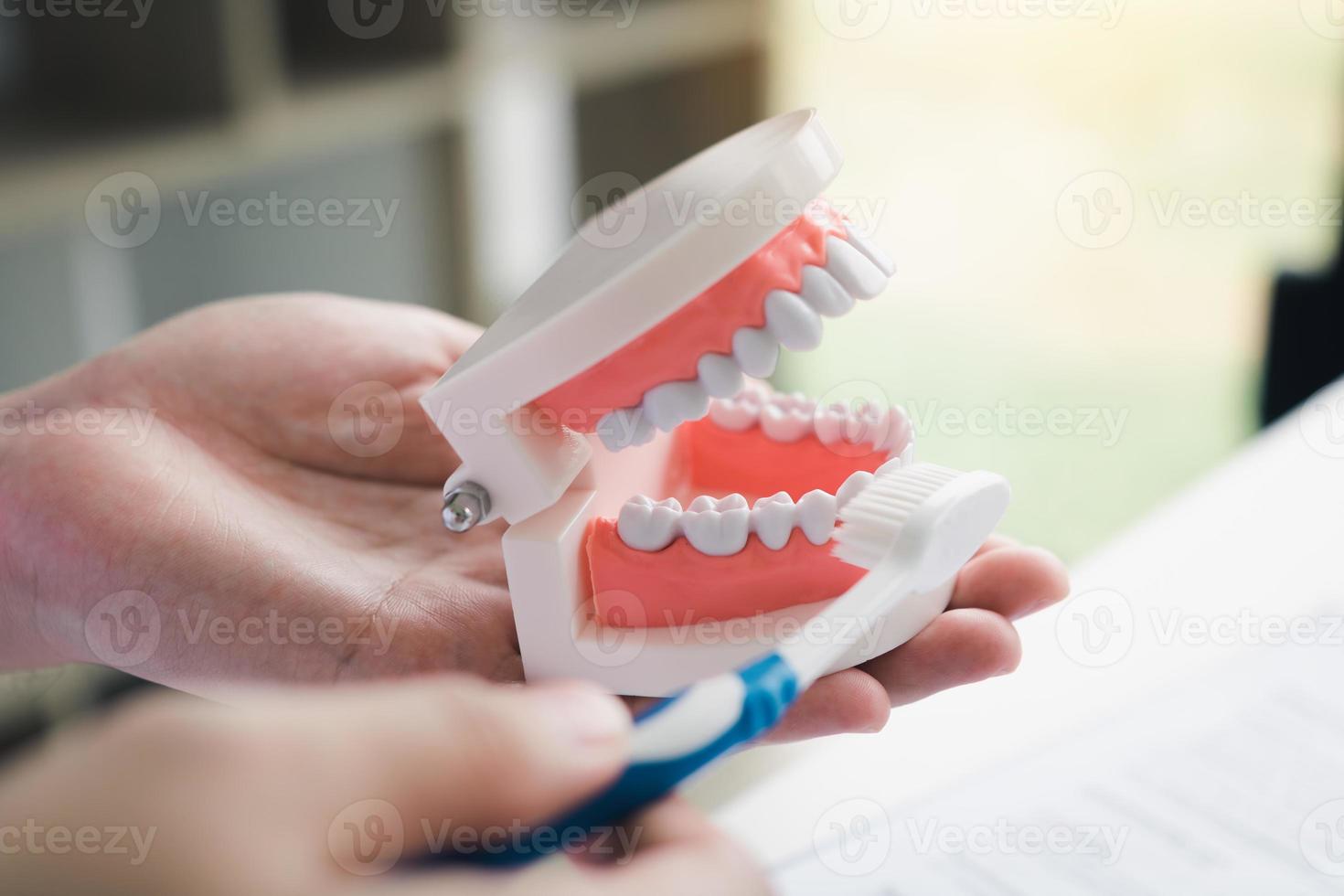 Los dentistas de mano de cerca están demostrando cómo cepillarse los dientes correctamente. foto