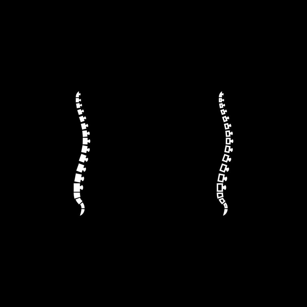 columna vertebral humana vista lateral vértebras vértebras dorsales conjunto de contorno de icono color blanco vector ilustración imagen de estilo plano