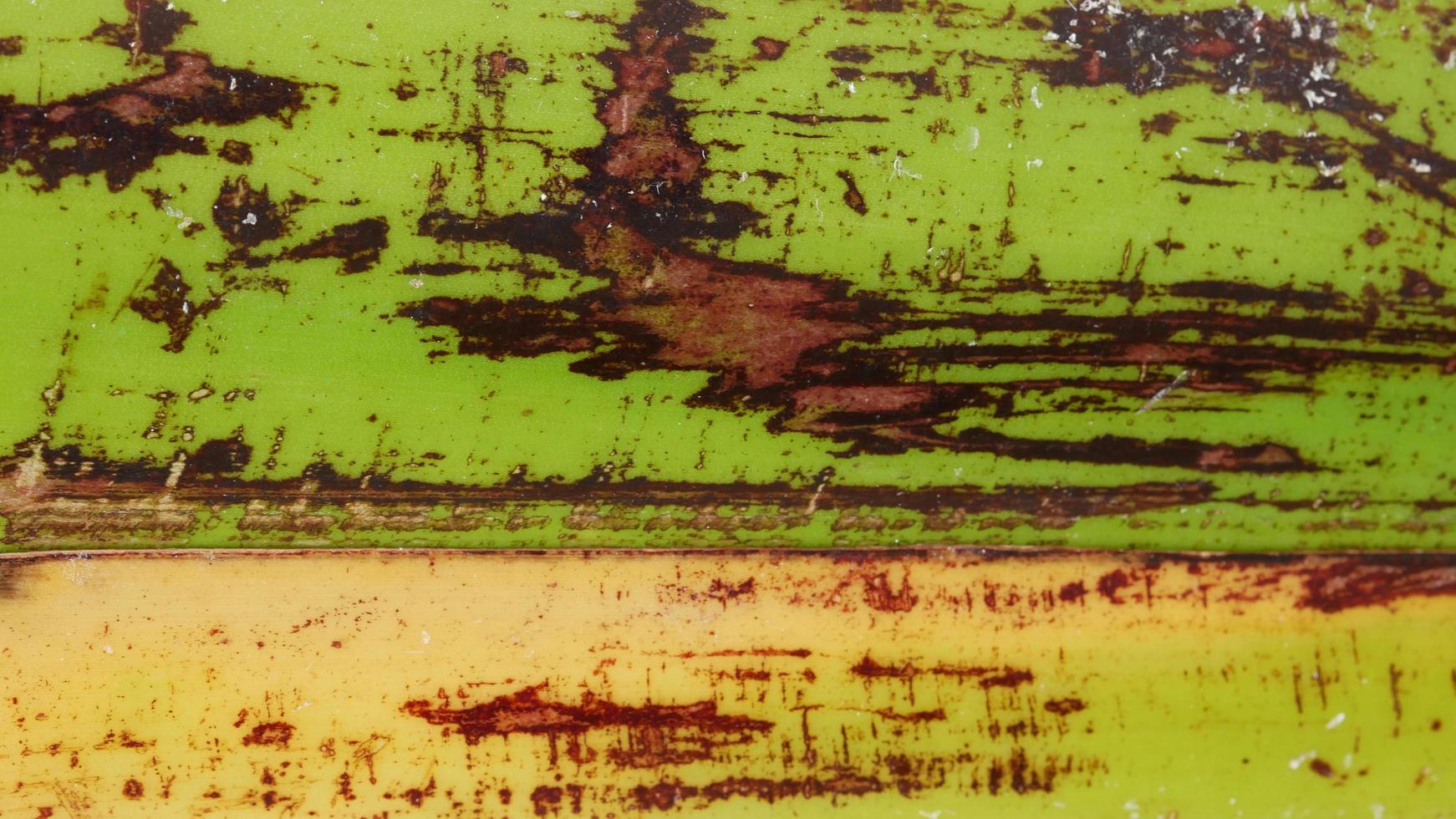 banana tree texture. green nature background photo