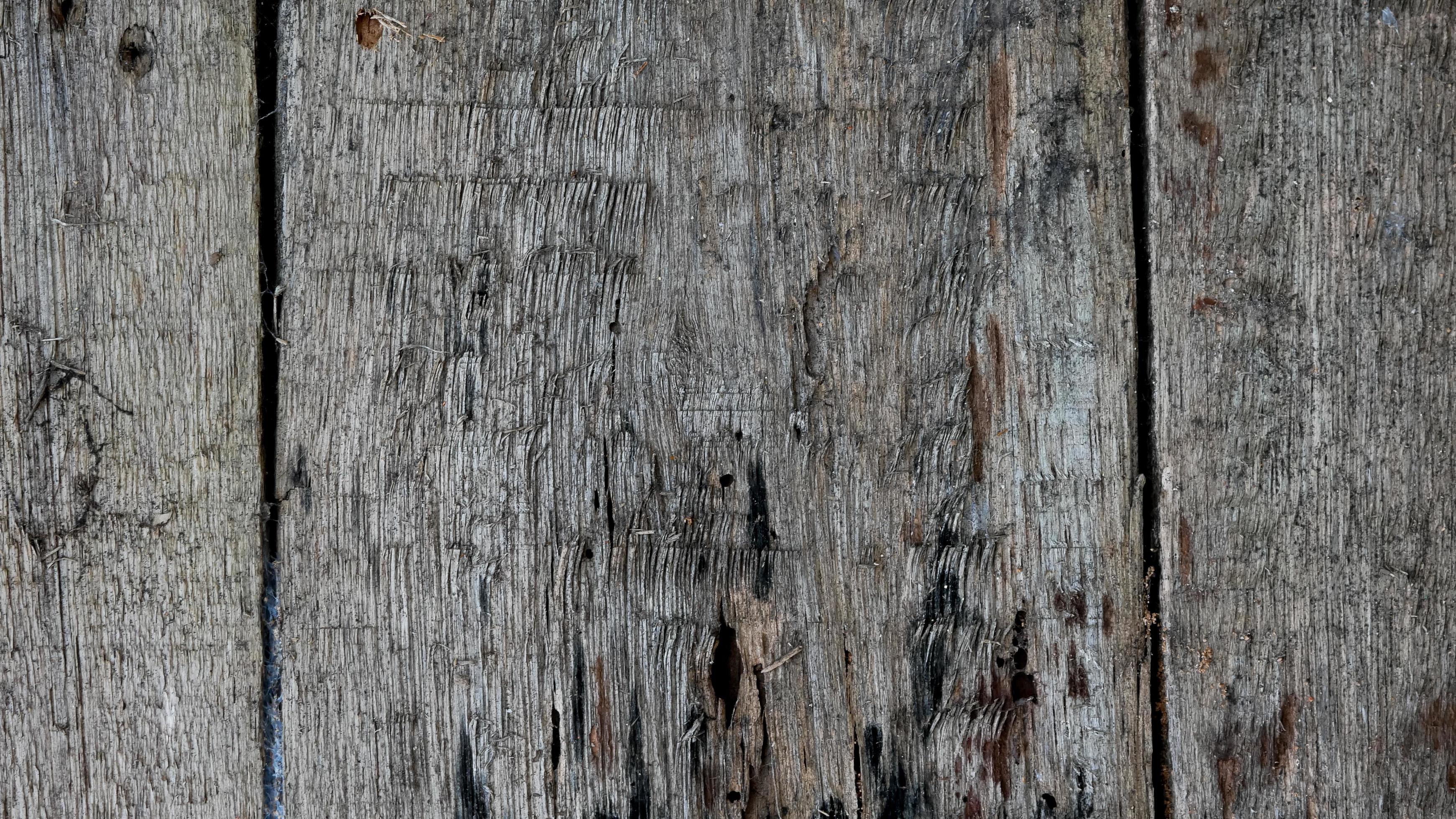 Wood texture background. Rough surface of old table with nature pattern