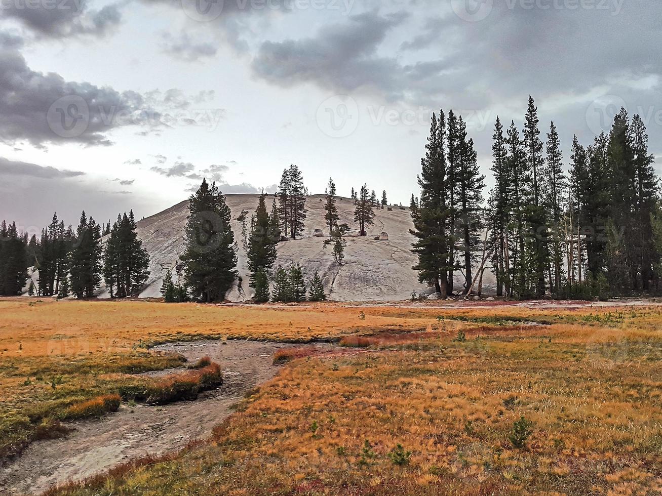 Nature landscape of Yosemity photo