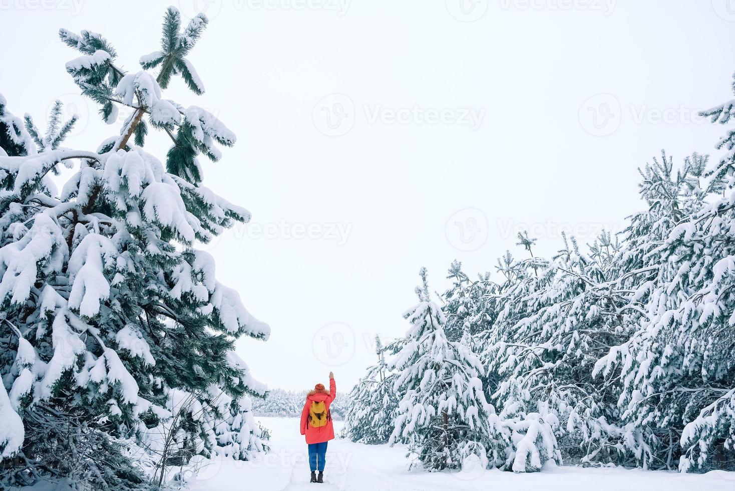 Woman in a red warm jacket and hat on a background of snowy forest photo