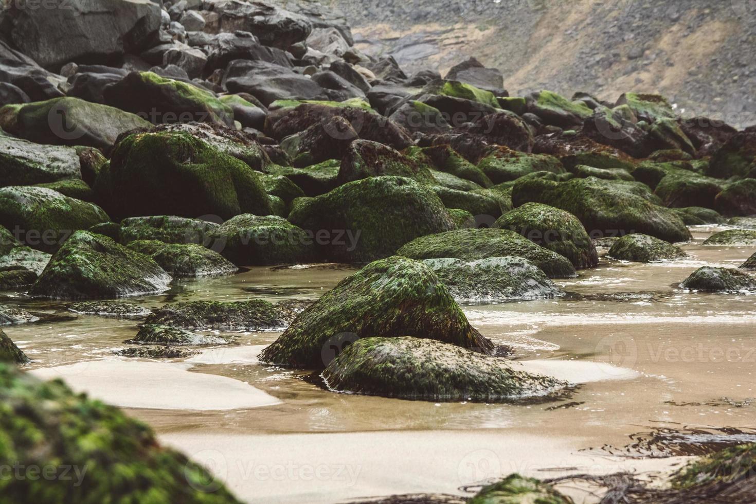 rocas costeras y piedras cubiertas de algas foto