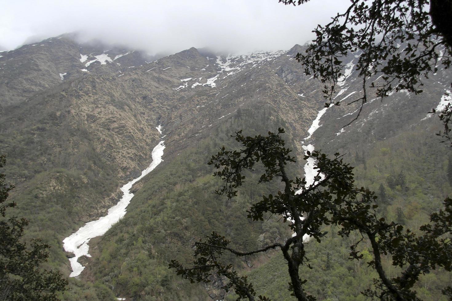 Frozen Mountain Streams photo