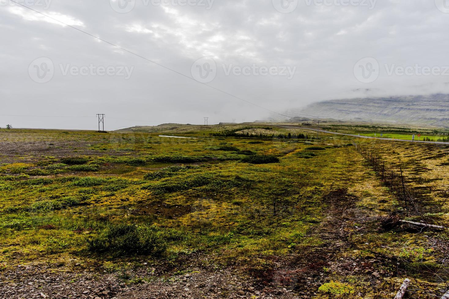 2021 08 16 Djupivogur lava grasslands photo