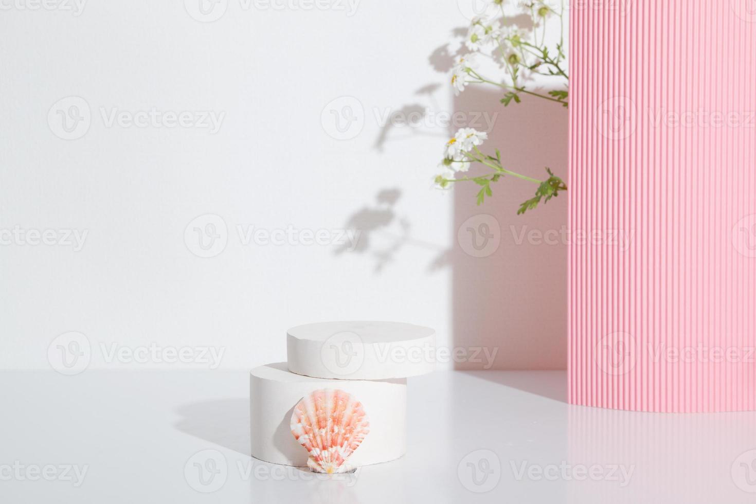 Empty cylindrical podium or plinth with chamomile flowers and seashell on white background. Blank shelf product standing background photo