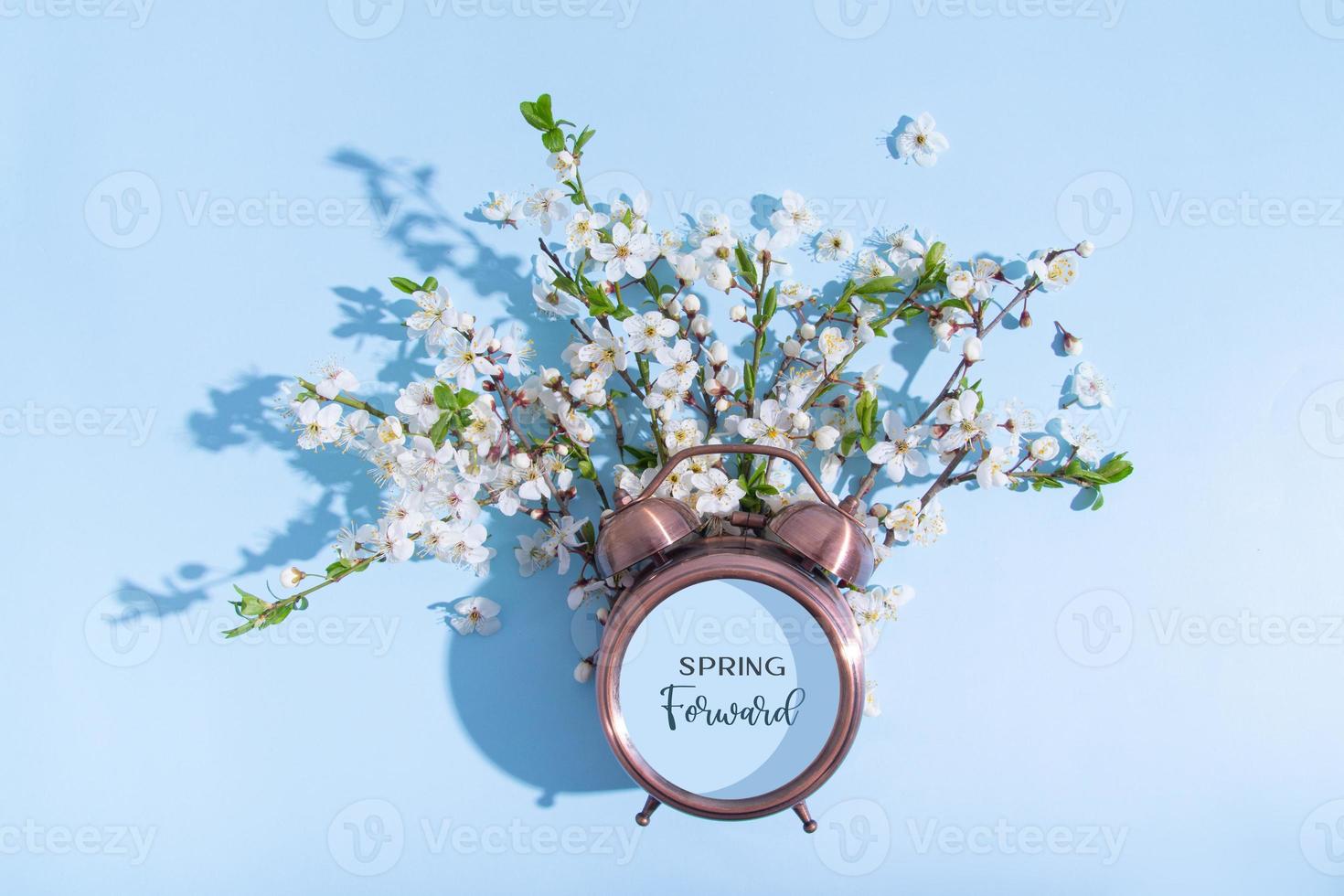 Spring forward text on alarm clock and blossom branches on a blue background. Flat lay, top view composition photo