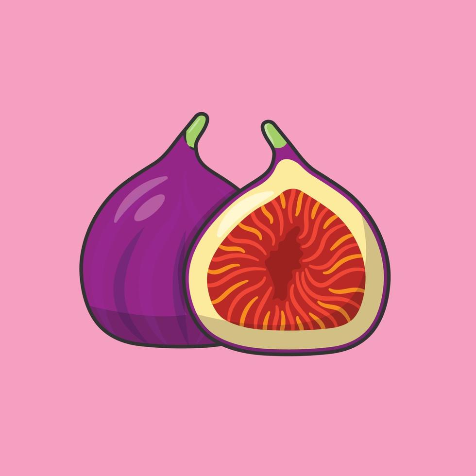 Figs Vector Illustration. Fruit. Sweet and Fresh Tin. Flat Cartoon Style Suitable for Icon, Web Landing Page, Banner, Flyer, Sticker, Card, Background, T-Shirt, Clip-art