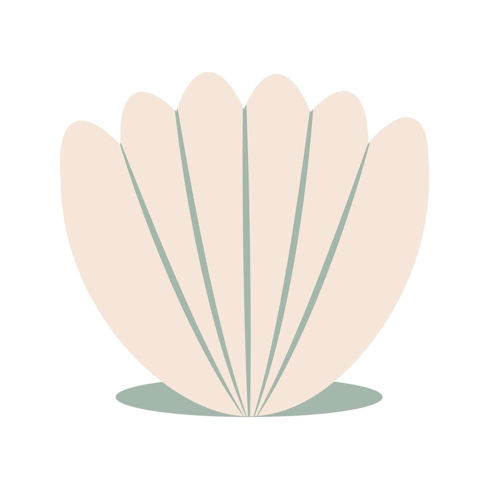 Vector illustration of seashell in cartoon flat style. Conch isolated on white background
