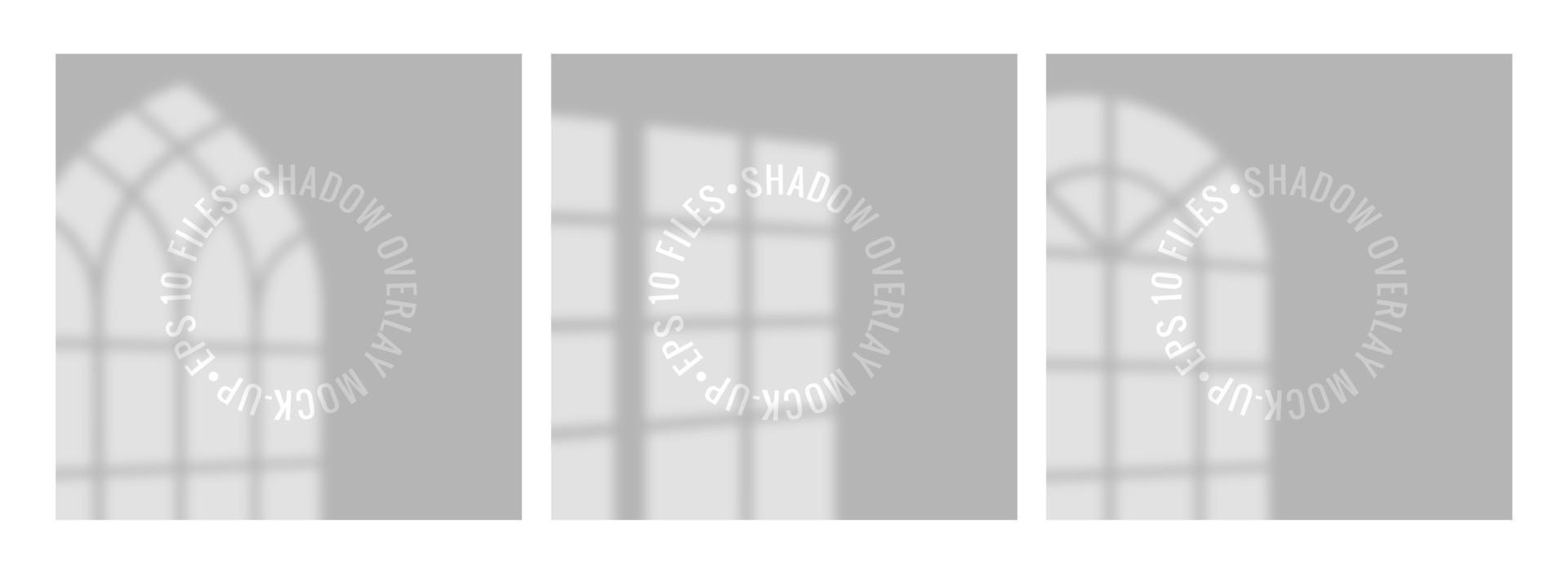 Set of shadows overlay effects mock up with window frame. Square paper mockup with realistic shadows overlays leaves on beige background. vector