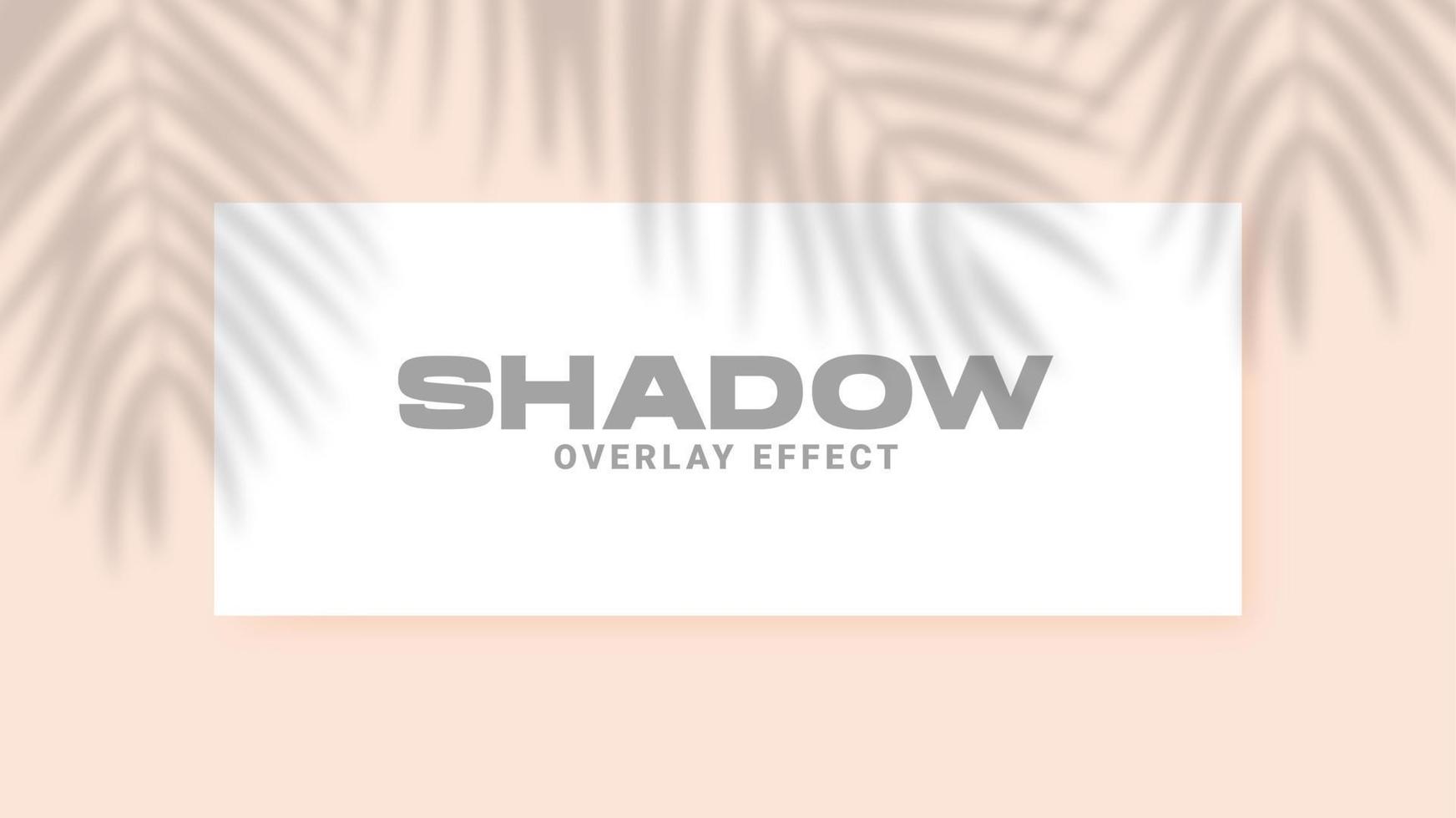 Shadow overlay effect. Transparent soft light and shadows from palm leaves. Realistic shadow mock up scenes. vector