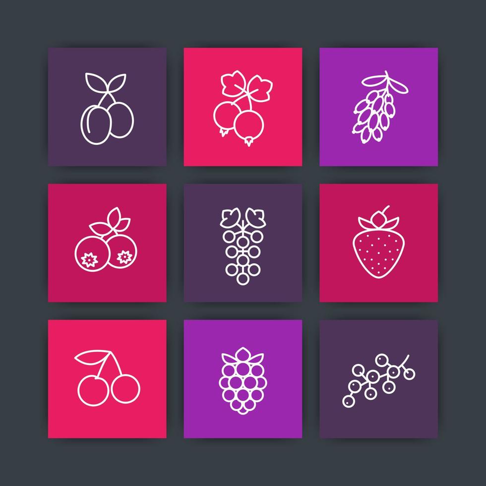 Berries line icons set, raspberry, blueberry, cherry, grape, barberry, plums, strawberry, currant, cranberry harvest, vector illustration