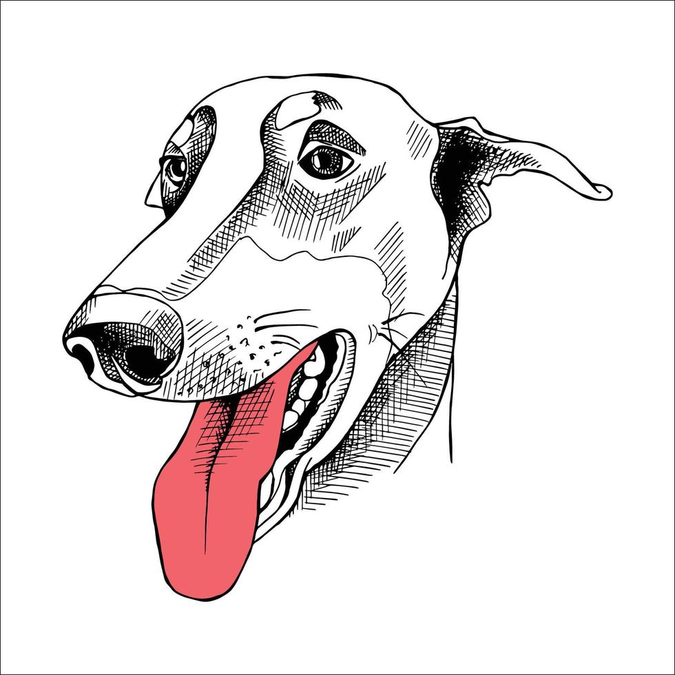 Vector image of an Dog black and white. design style. animal. art. symbol. logo. Illustrator. on white
