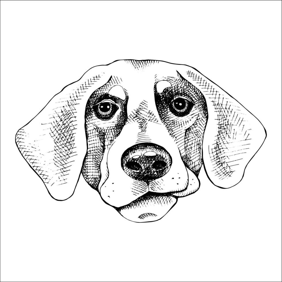 Vector image of an Dog black and white. design style. animal. art. symbol. logo. Illustrator. on white