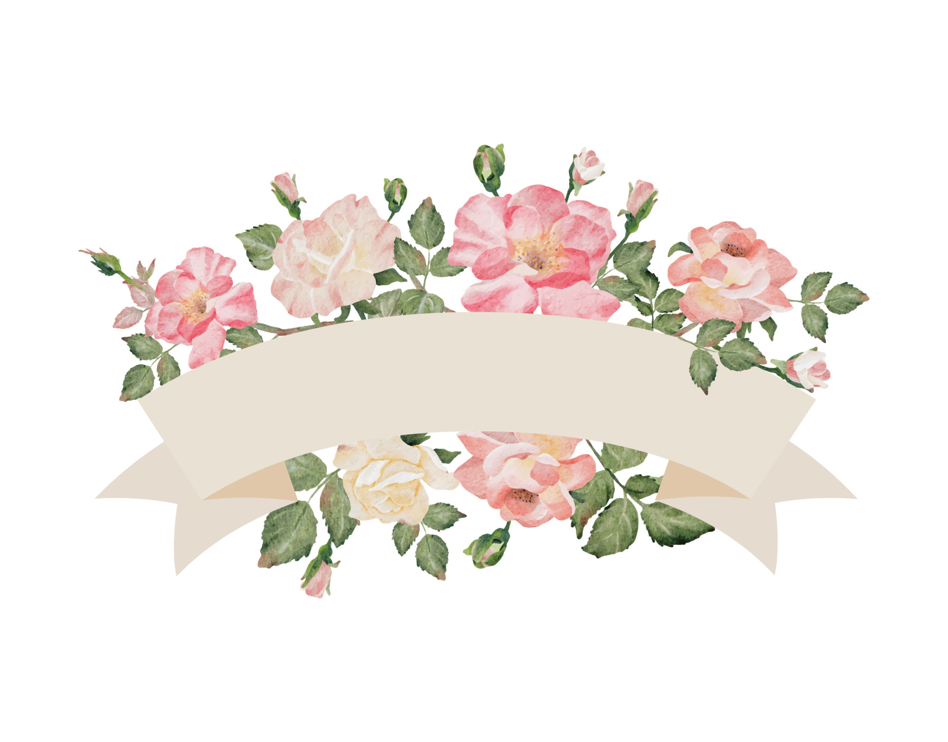 watercolor rose flower bouquet with ribbon banner background clipart