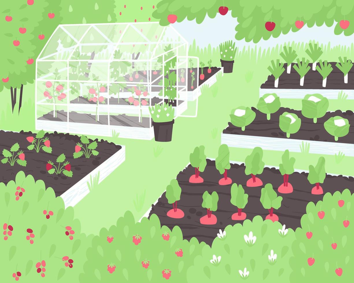 Vegetables and berries grow on a small farm in beds and a greenhouse vector