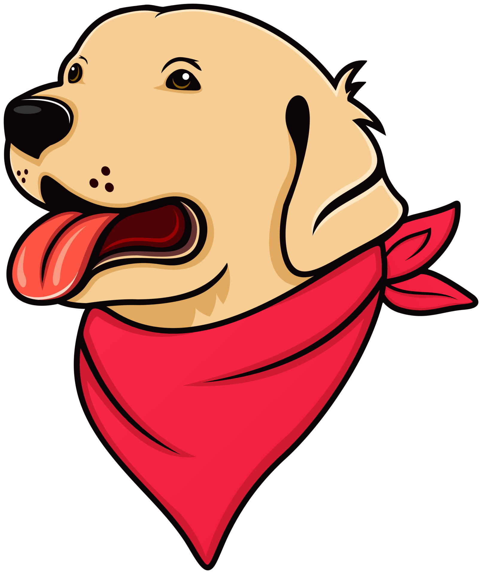 How Are Dogs Supposed To Wear Bandanas