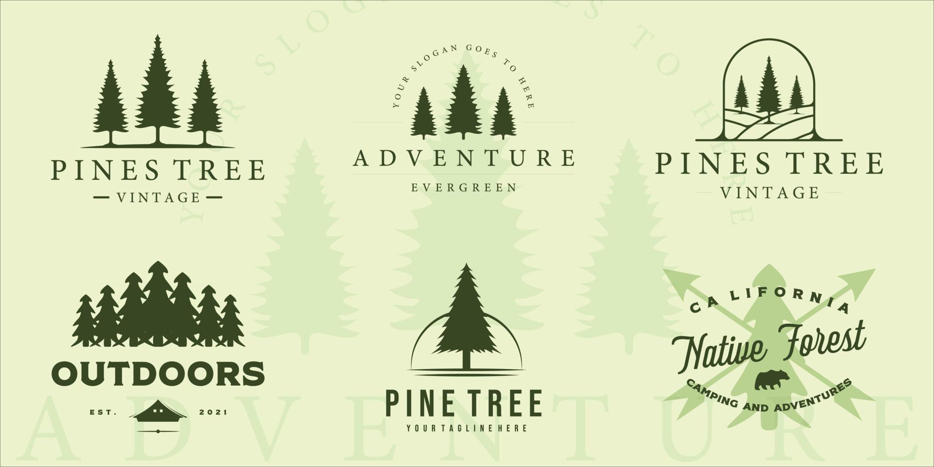 set of pine tree logo vintage vector illustration template icon graphic design. bundle collection of various retro plant pines with typography
