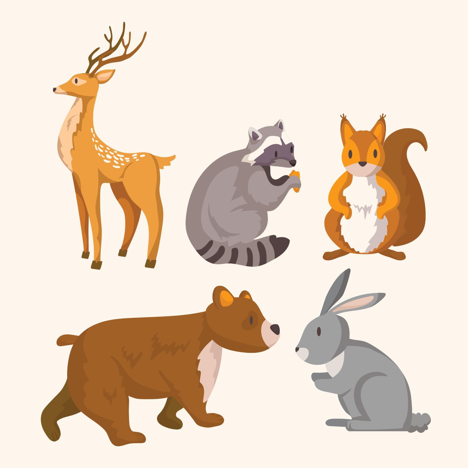 Spring Animals Collection 5417968 Vector Art at Vecteezy