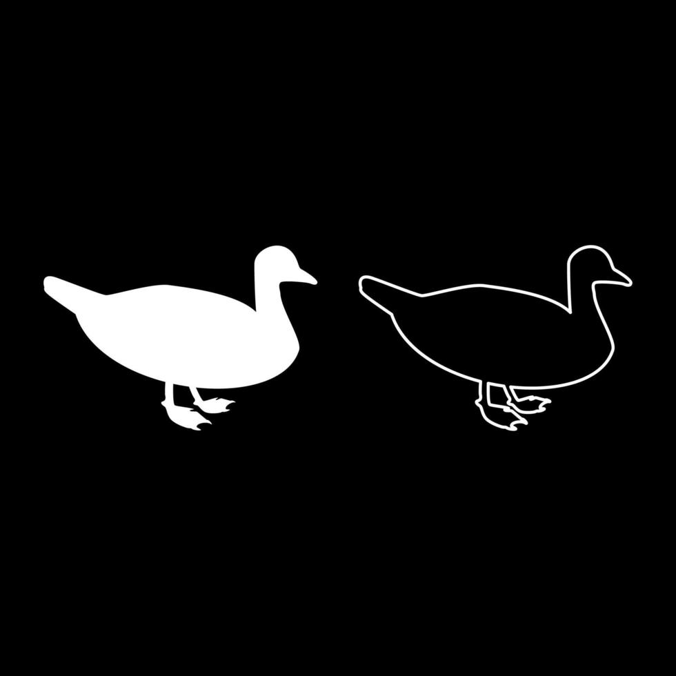 pato macho ánade real pájaro ave acuática aves acuáticas aves de corral canard silueta color blanco vector ilustración contorno sólido estilo imagen