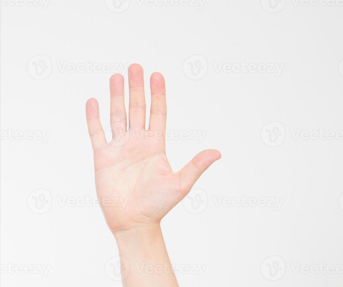 hand isolated on white.Voting hand. Mock up. Copy space. Template. Blank. photo