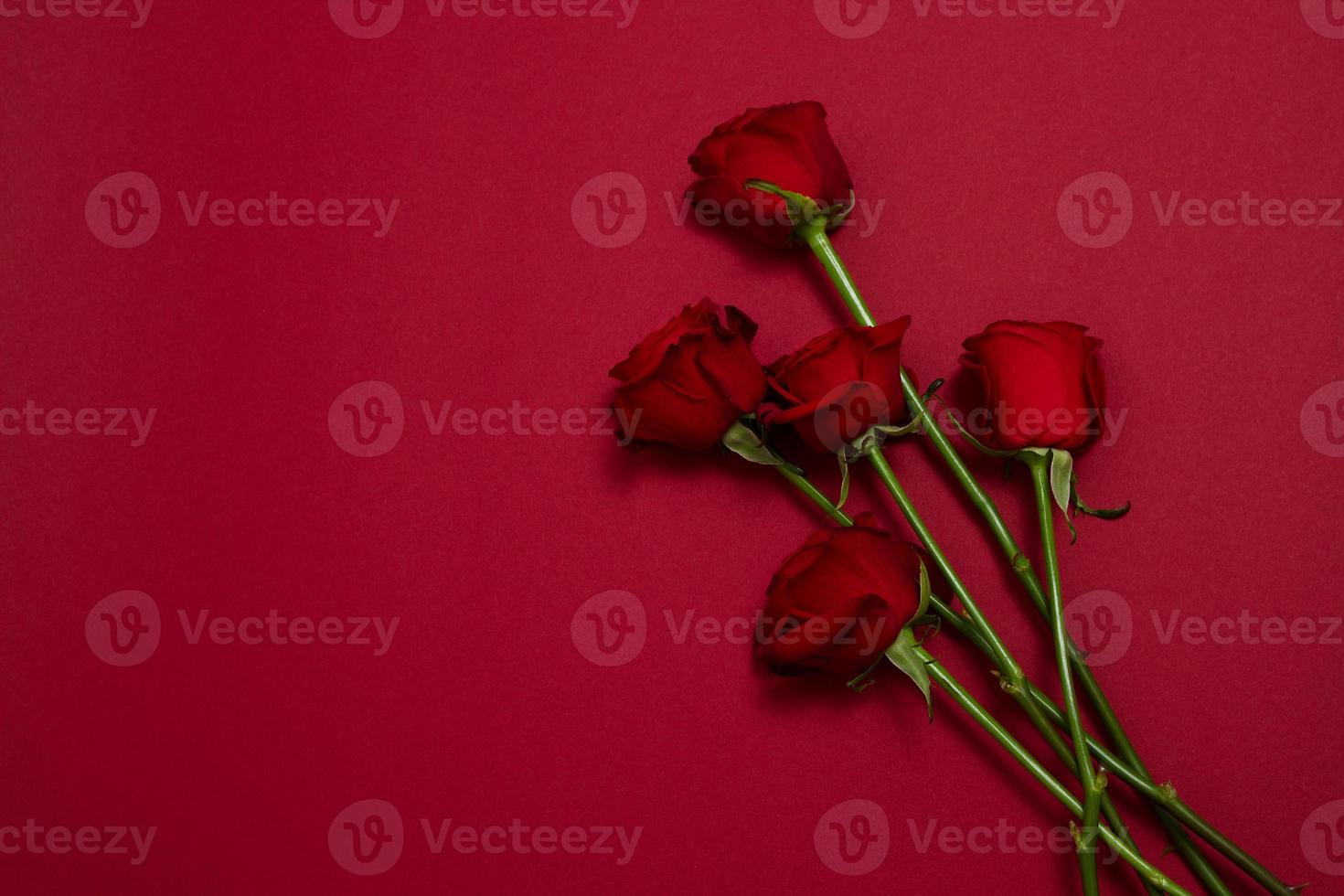 Send flowers online concept. Flower delivery for valentine and mother day. Bouquet of red roses isolated on red background. Post card design with beautiful nature rose. Top view. copy space. photo