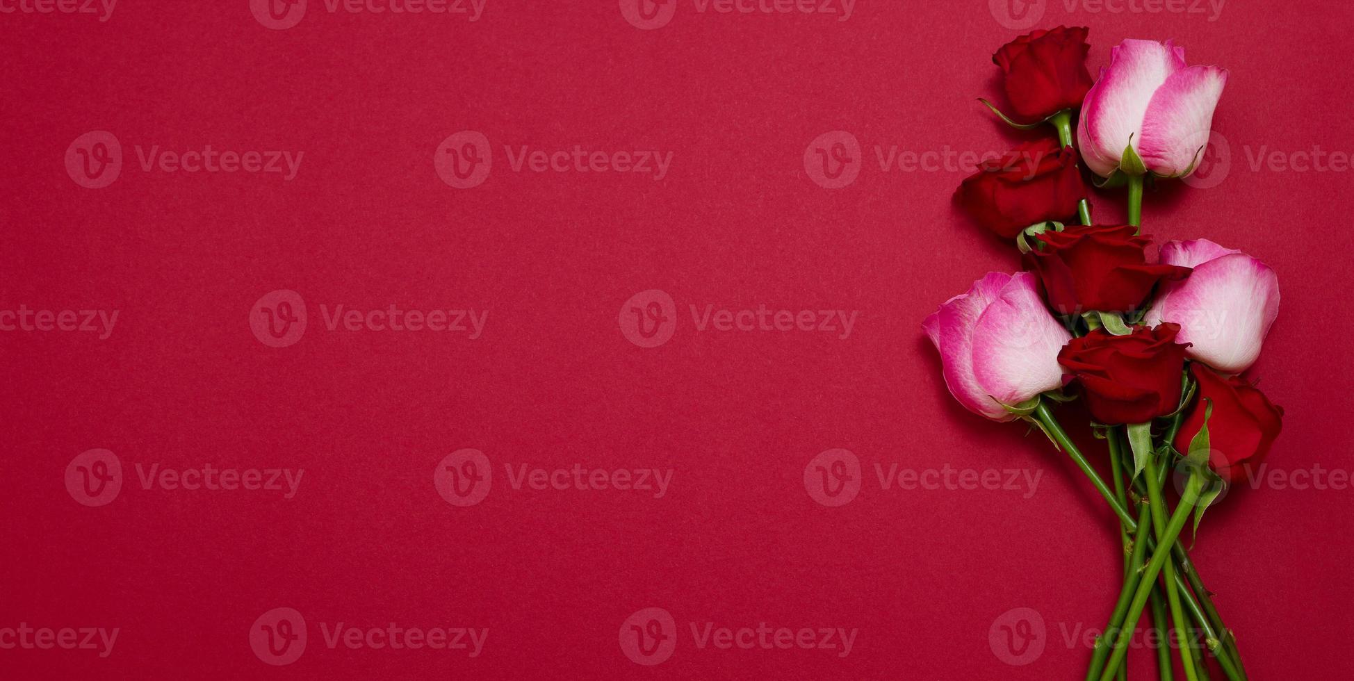 Roses on red background isolated. Top view and mock up. Mother and valentine day. Women holidays . Wallpaper and romantic concept. Flower rose bouquet . Flowers birthday gift. Banner photo