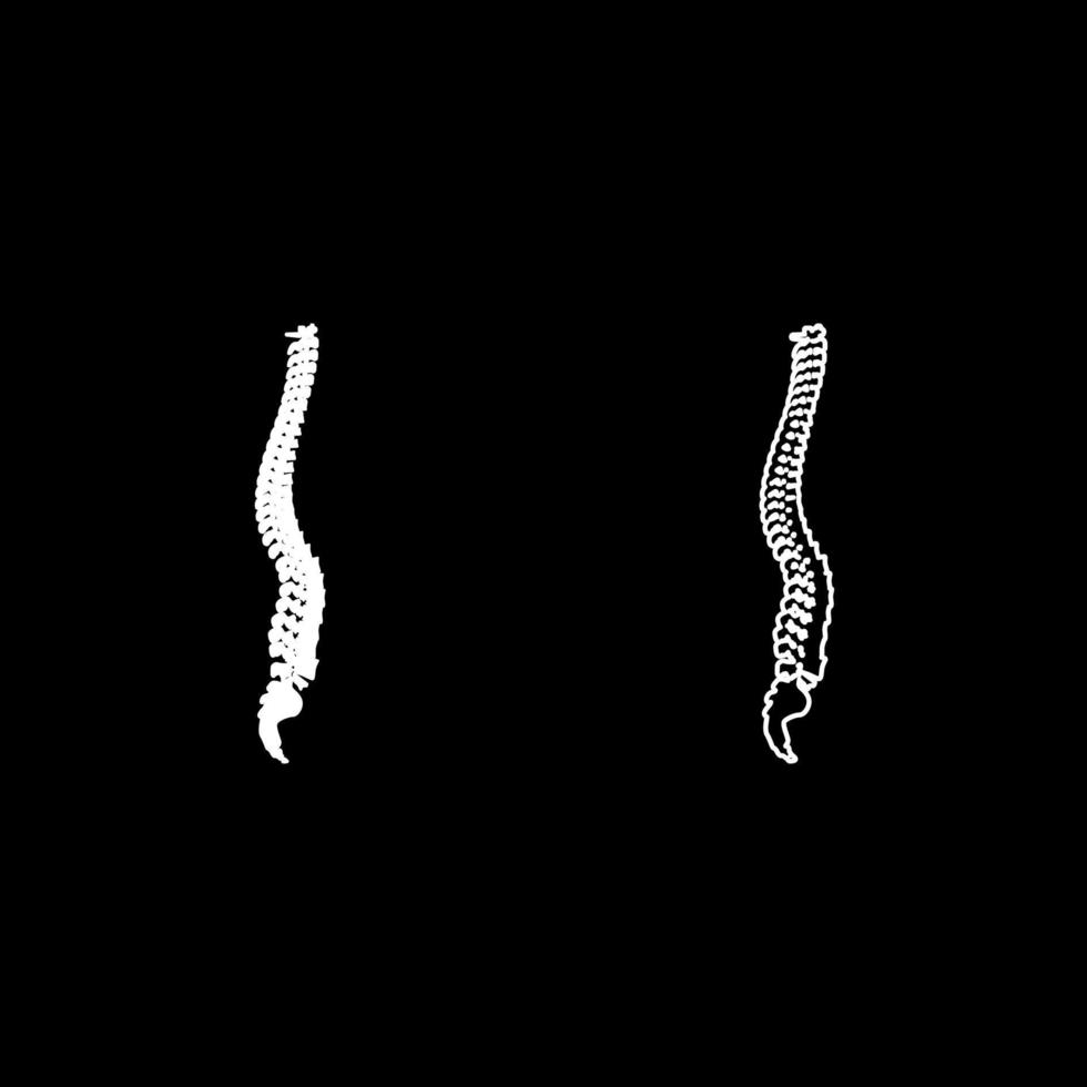 Spinal vertebral column spine backbone icon white color vector illustration flat style image set
