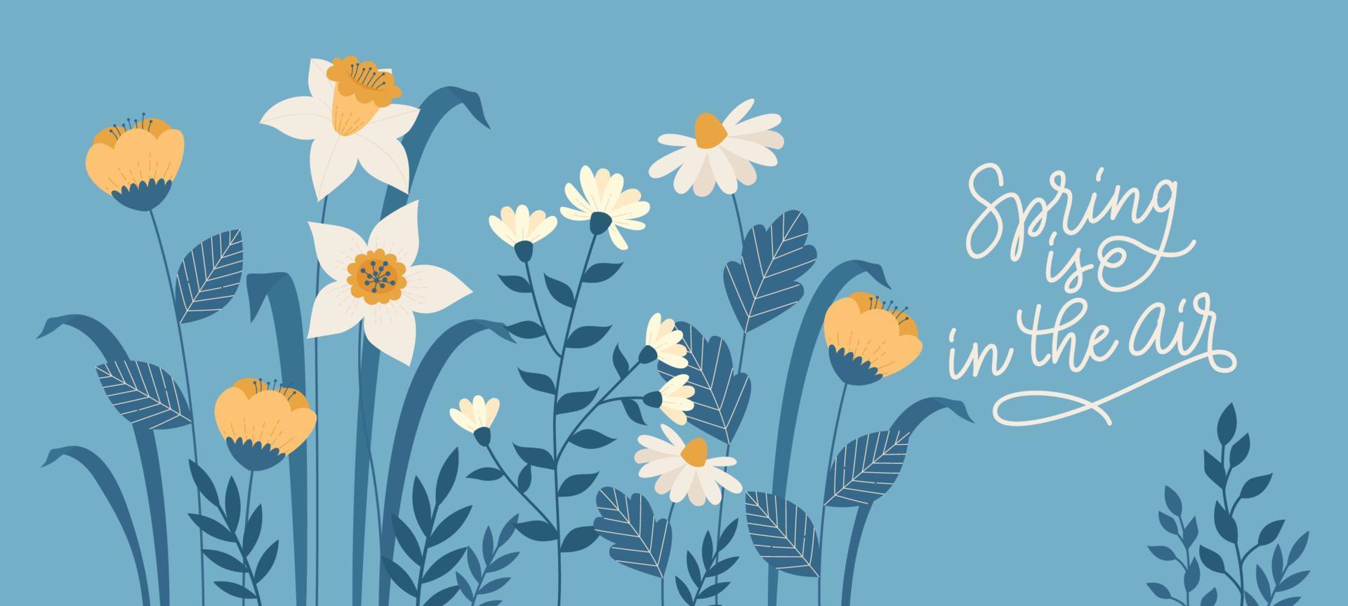 Spring Floral Background with Daffodil and Daisy vector