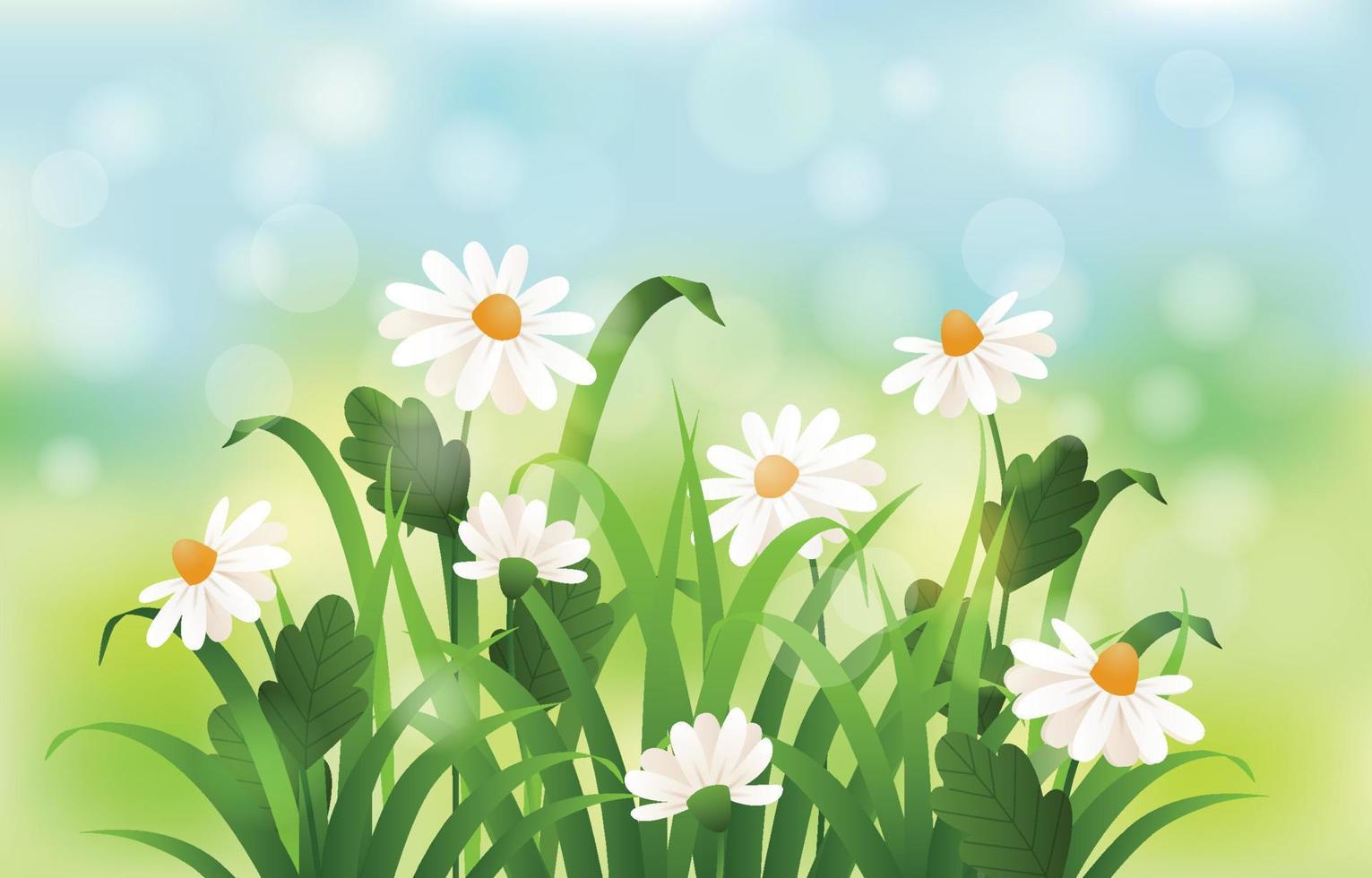 Daisies in Spring Floral Background vector