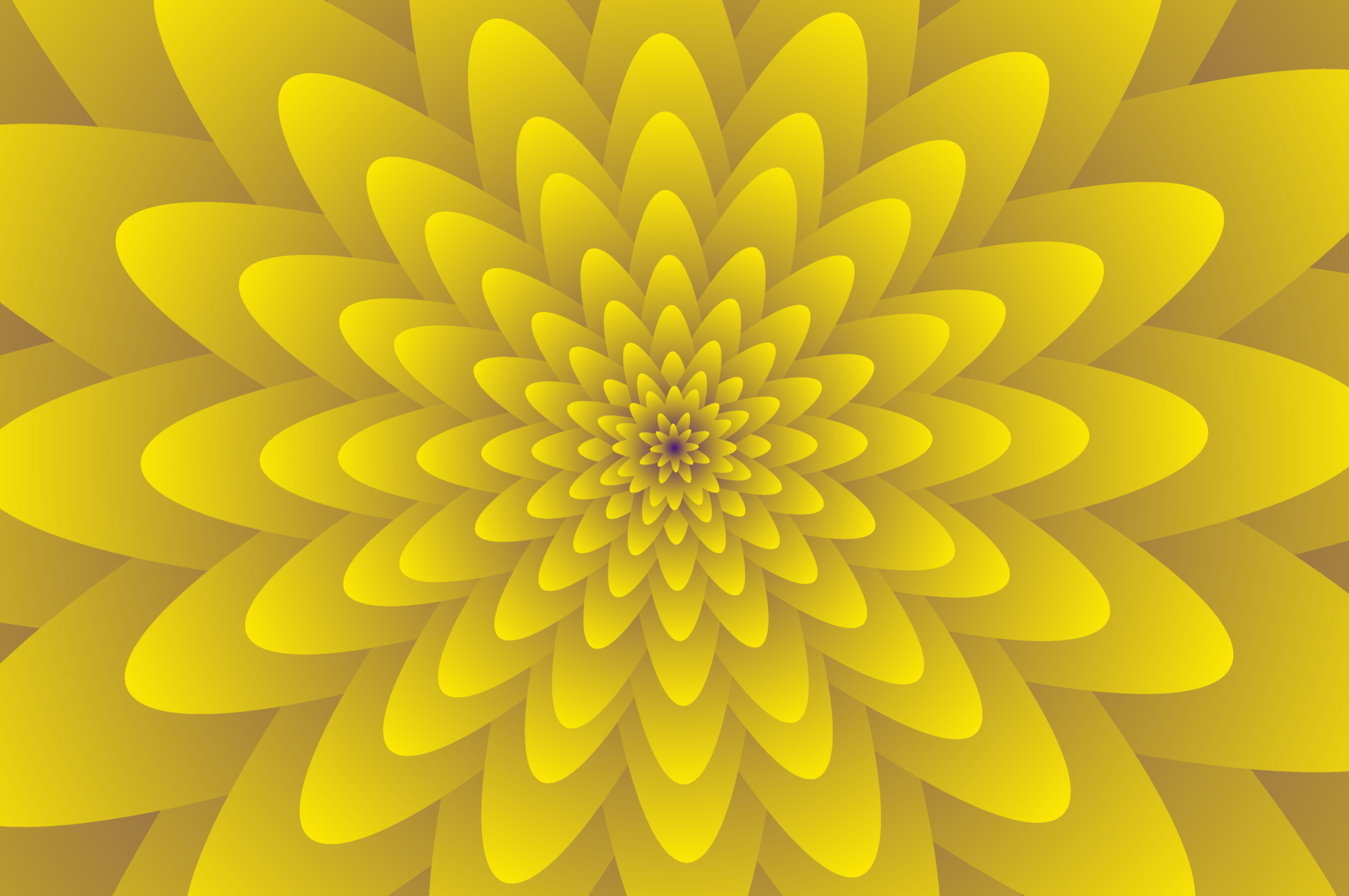 Bright yellow color flower patals mandala background for summer and spring  design 5421267 Vector Art at Vecteezy