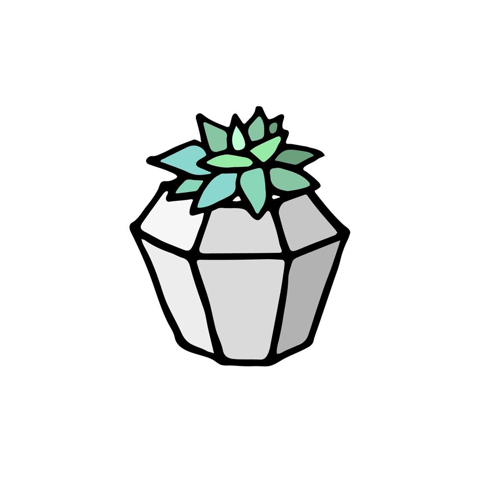 Succulent doodle print. Home plants in modern flowerpot vector